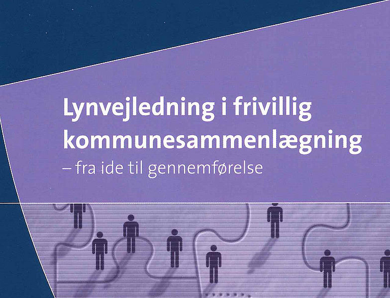 Fil:Lynvejledning.jpg